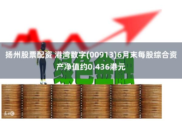 扬州股票配资 港湾数字(00913)6月末每股综合资产净值约0.436港元