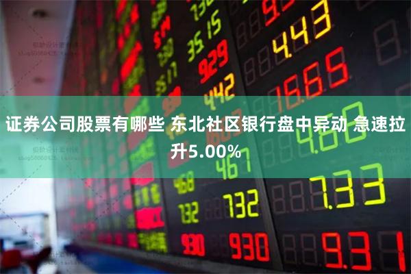 证券公司股票有哪些 东北社区银行盘中异动 急速拉升5.00%