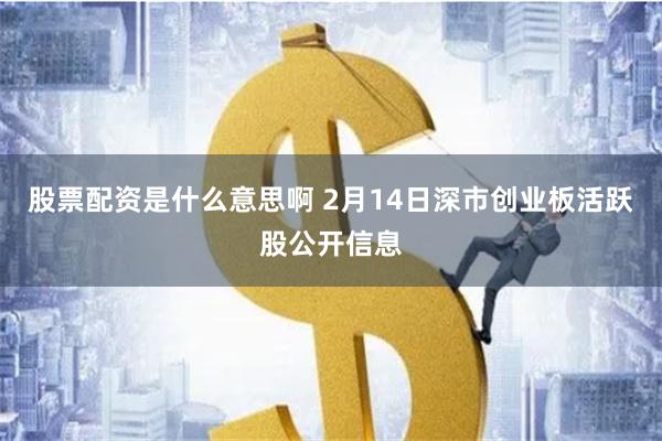 股票配资是什么意思啊 2月14日深市创业板活跃股公开信息