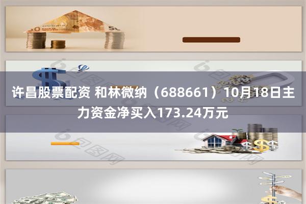 许昌股票配资 和林微纳（688661）10月18日主力资金净买入173.24万元