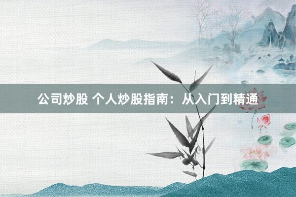 公司炒股 个人炒股指南：从入门到精通