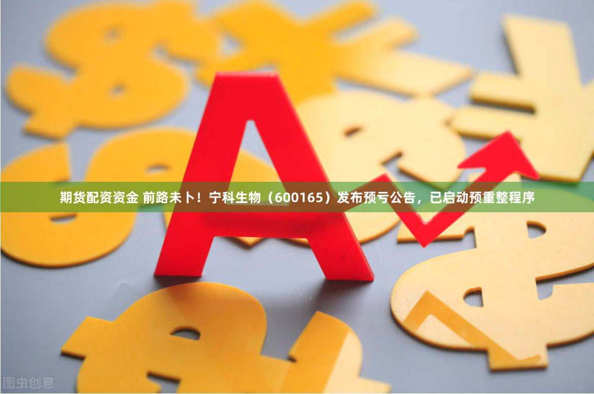期货配资资金 前路未卜！宁科生物（600165）发布预亏公告，已启动预重整程序