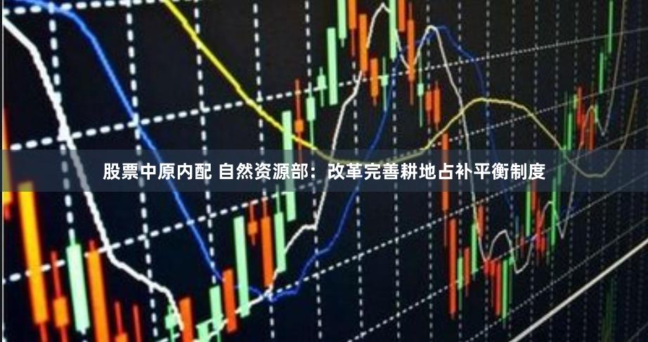 股票中原内配 自然资源部：改革完善耕地占补平衡制度