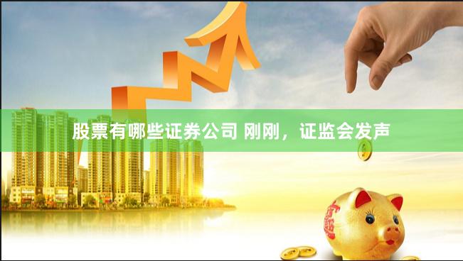 股票有哪些证券公司 刚刚，证监会发声