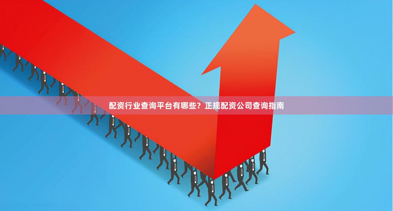 配资行业查询平台有哪些？正规配资公司查询指南