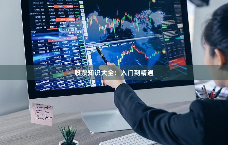 股票知识大全：入门到精通